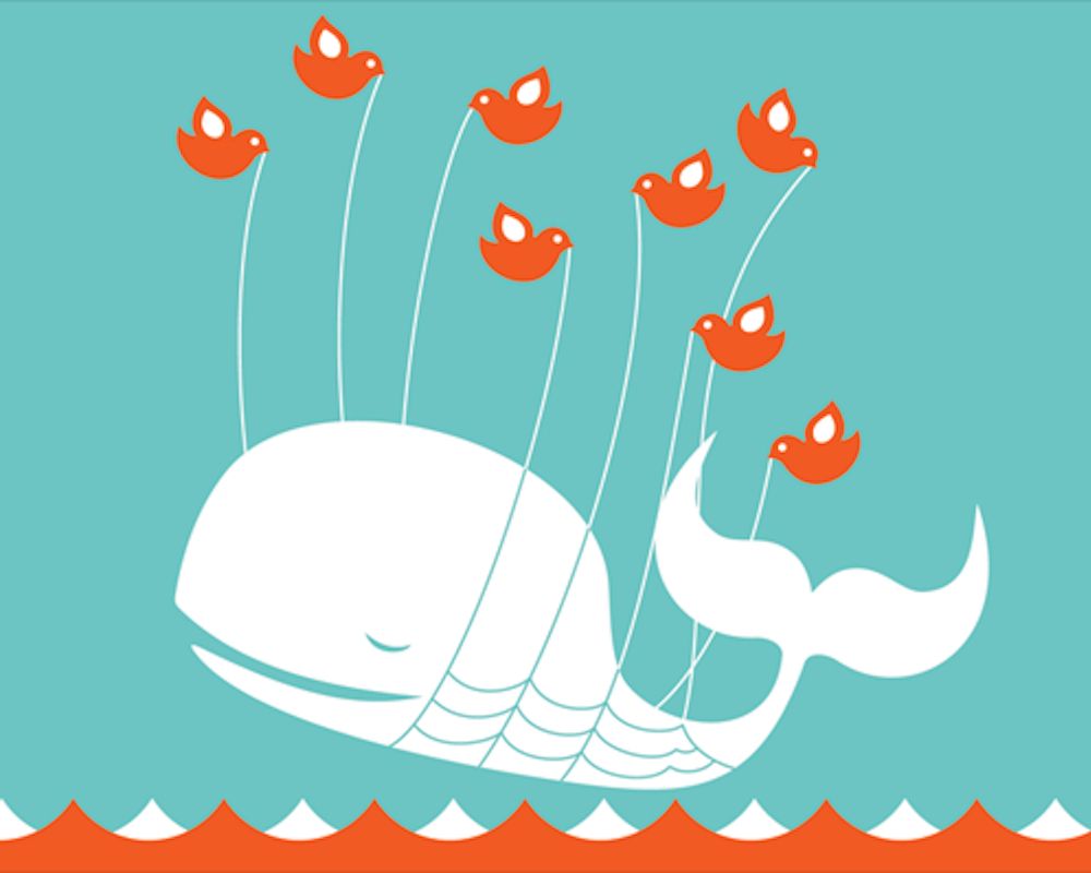 twitter fail whale