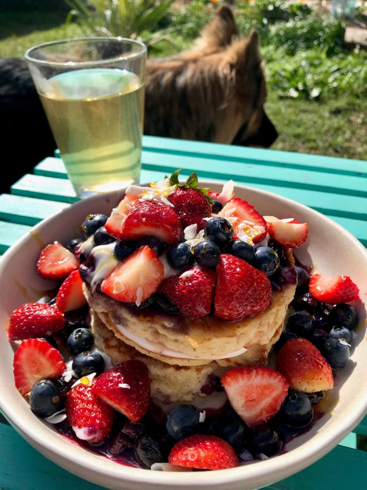 The same sumptuous pancakes are shown here with Cass trotting in the other direction.