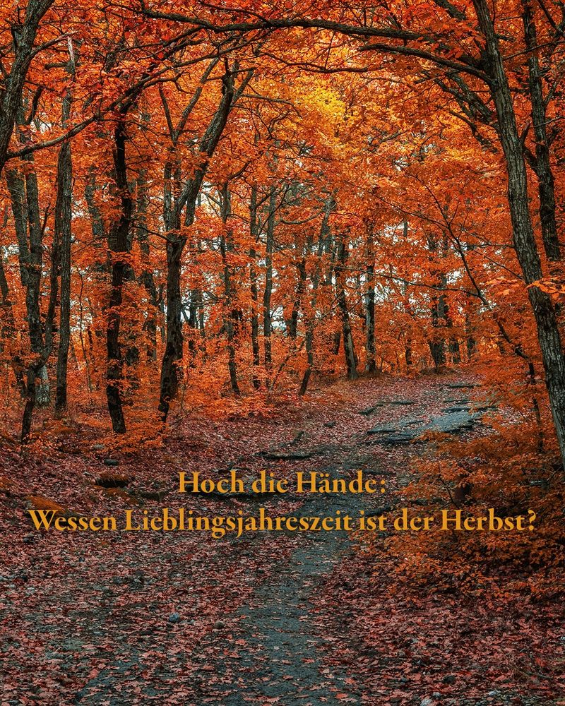 Ein schwach sichtbarer Pfad führt in die Tiefe eines feurig leuchtenden Herbstwaldes. Unten steht: "Hoch die Hände: Wessen Lieblingsjahreszeit ist der Herbst?"
