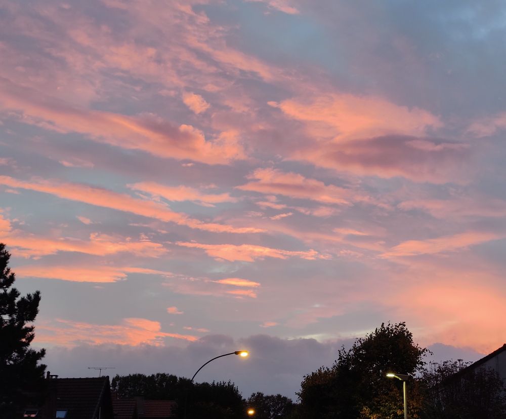 Ciel nuageux au coucher du soleil donnant aux nuages des teintes rosées cimes d'arbres et réverbères