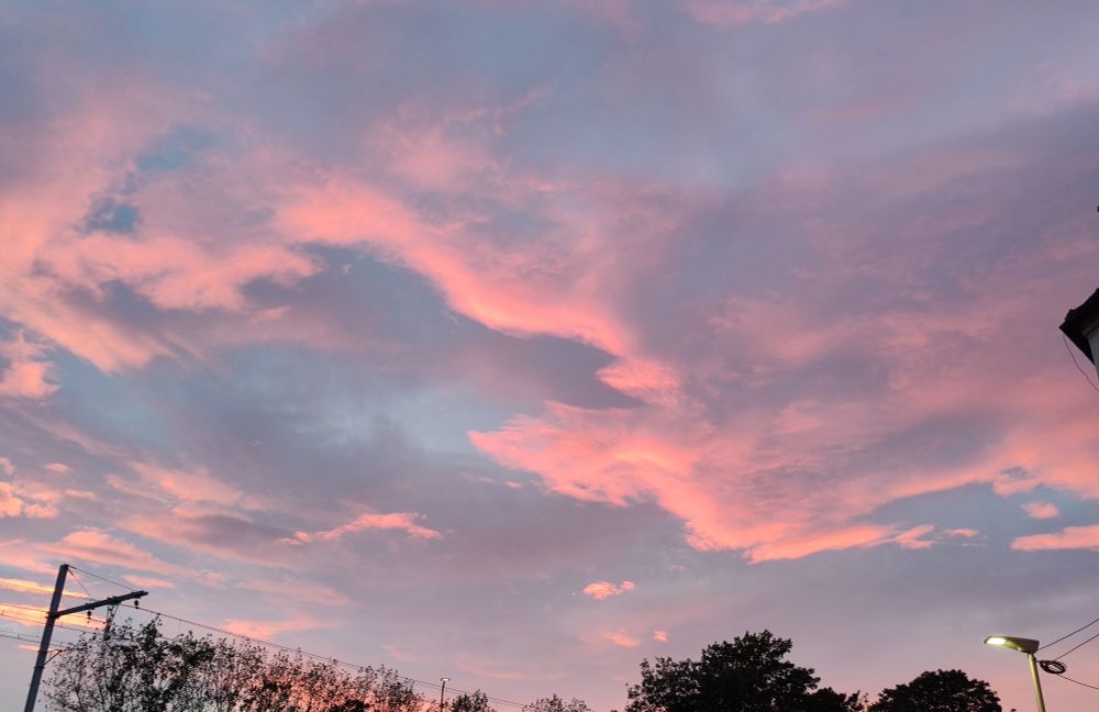Ciel nuageux au coucher du soleil donnant aux nuages des teintes rosées cimes d'arbres et réverbère