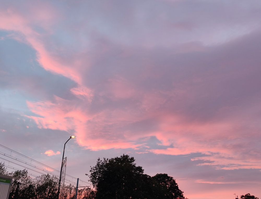 Ciel nuageux au coucher du soleil donnant aux nuages des teintes rosées cimes d'arbres réverbères et lignes électriques