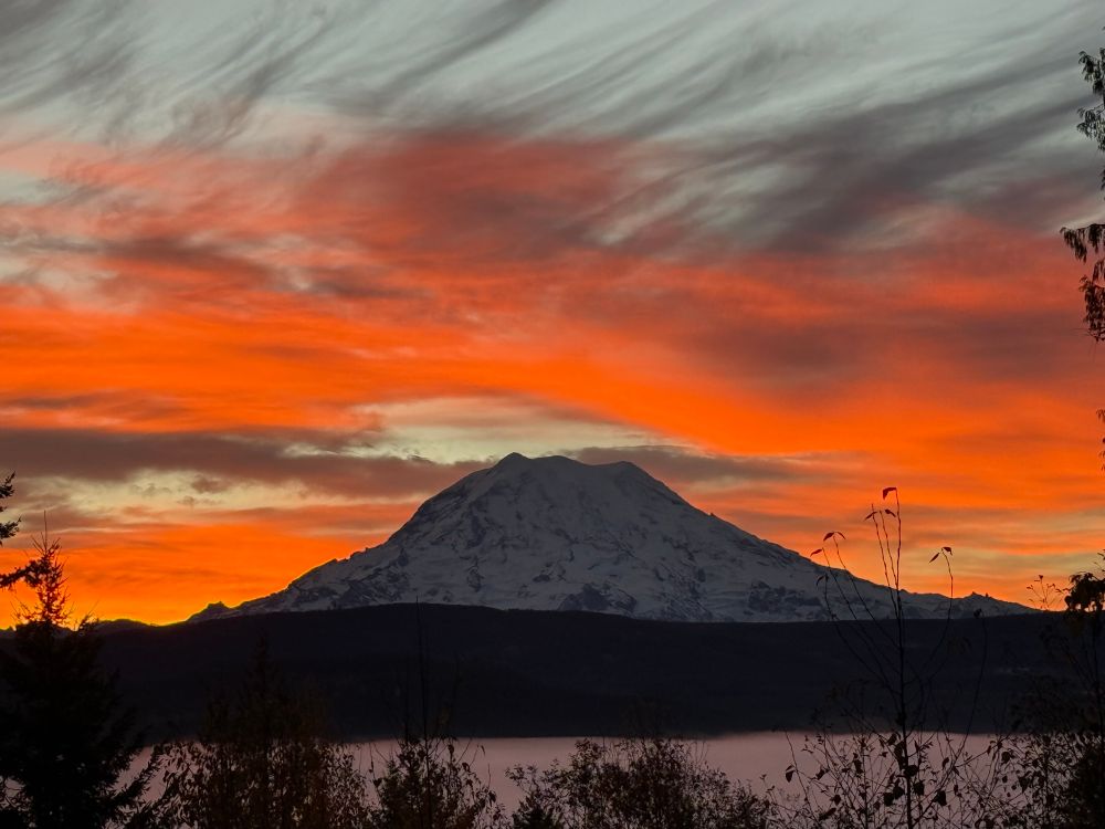 My. Rainier in morning light