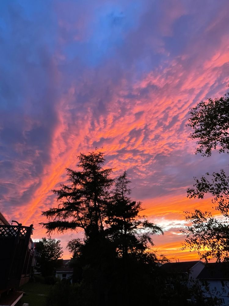Pink sky at sunset lighting up a thick band of clouds