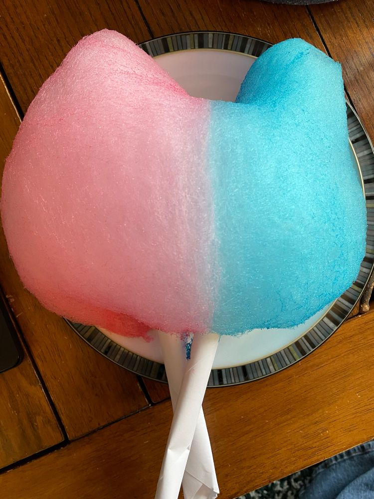 Pink cotton candy on a stick on the left, blue on the right, fused into two perfect halves down the center 