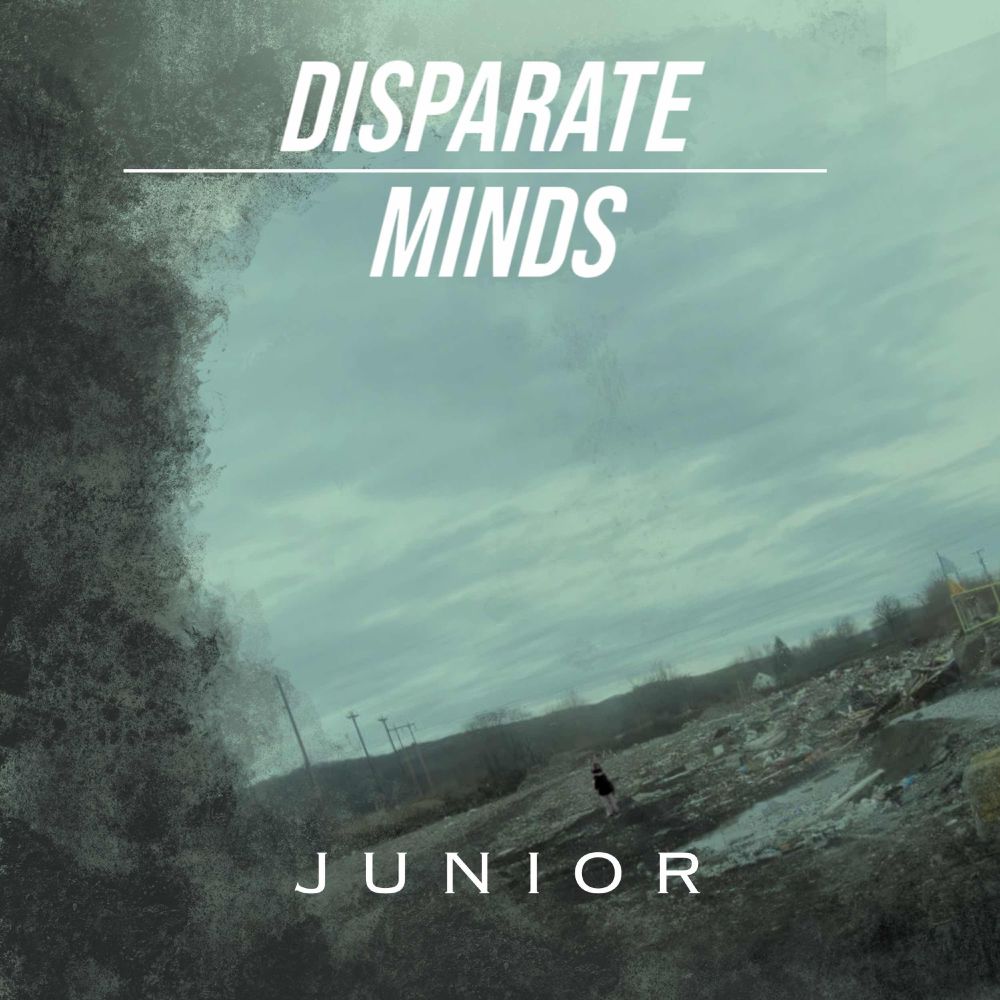 A far-away child standing on a tilted desolate landscape. It is cloudy and grey. In white, at the top of the image, it says “Disparate Minds”, and at the bottom, “Junior”. 