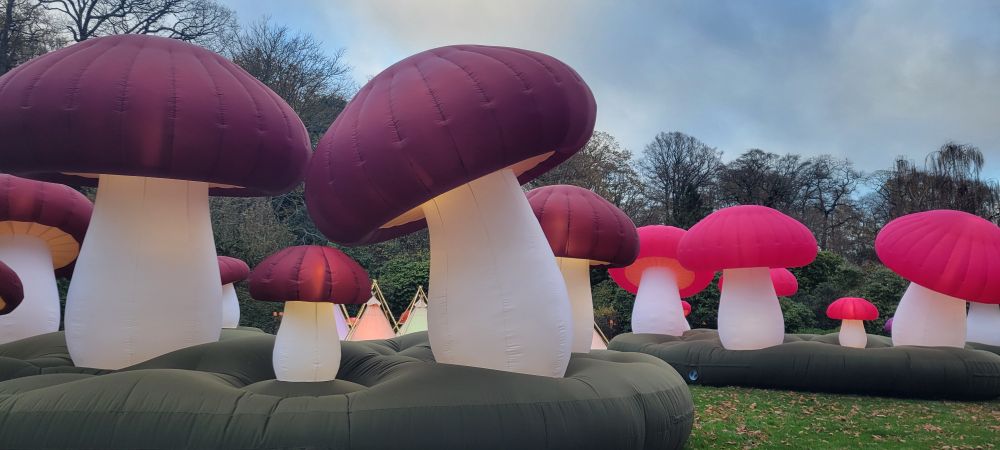 Inflatable mushrooms 