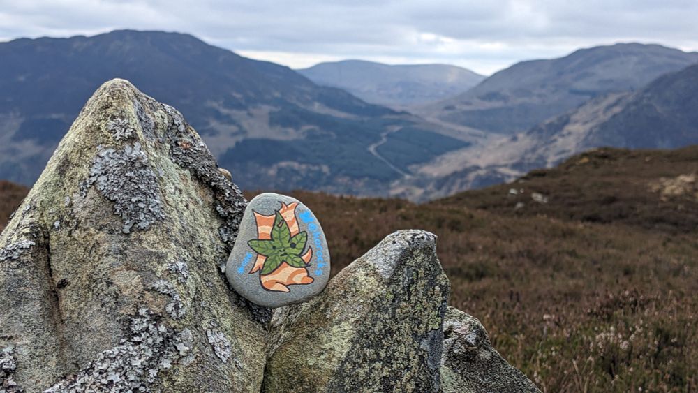 A painted rock of a seated korok with a five tipped leaf face, rests on top of a cairn where un-bloomed heather clad Scottish hills rise off into the distance.