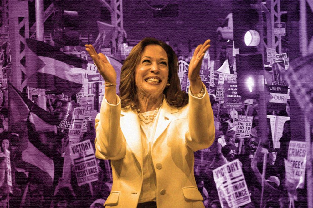 Will the Post-DNC Pivot on Palestine Hurt Harris? - Truthdig