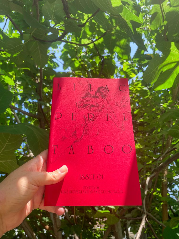 A red book with an angel sketch. It reads: Lilac Peril. TABOO, issue 01. Edited by Luke Sutherland and Andrea Morgan.