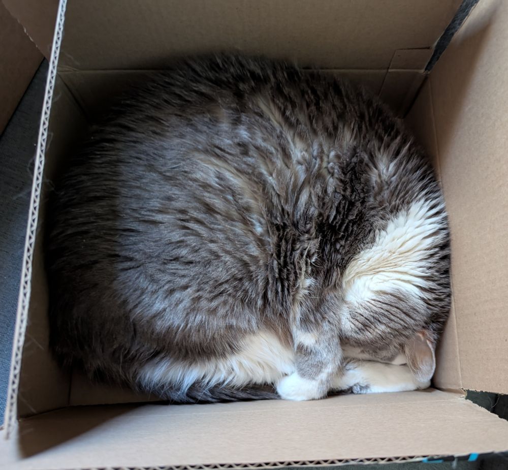A gray and white cat curled up in a cardboard box taking a nap.