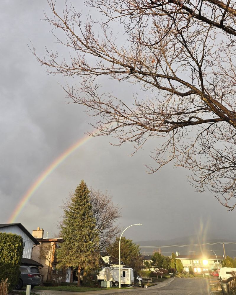 Photo of part of a rainbow against a stormy sky. The scene is on a hillside street, with a bare tree in the top right foreground. At the top of the street, sun reflects and radiates from a house window. 