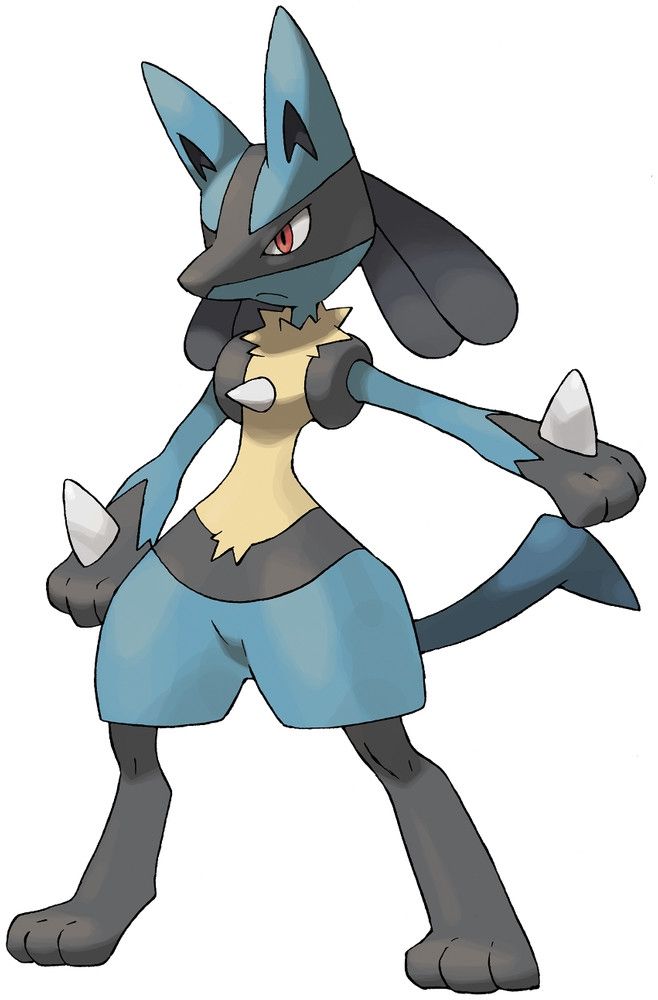Lucario, possibly moist