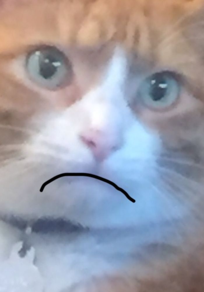 Submission in category of Read Mine Cate Lips