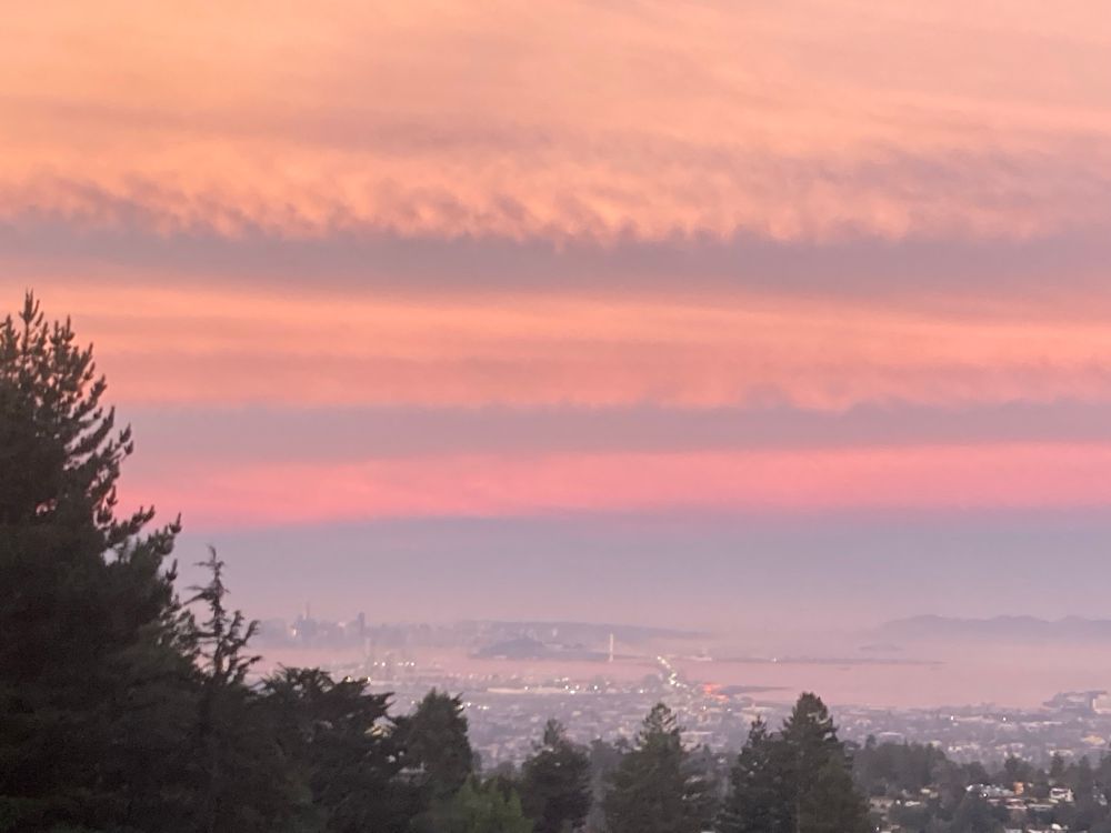 pink and purplish horizontal stripes in morning sky over San Francisco Bay. The bay itself reflects the sky and appears pink. Lights twinkle on the Bay Bridge, the city of Oakland in the early morning. The colors are framed by deep dark green evergreen trees from the hills. 
