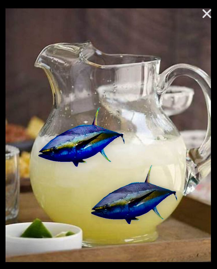 a pitcher of refreshing tunaritas