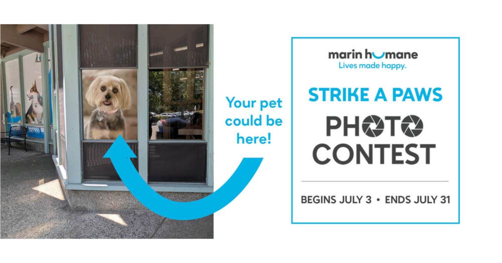 Fundraiser for Marin Humane