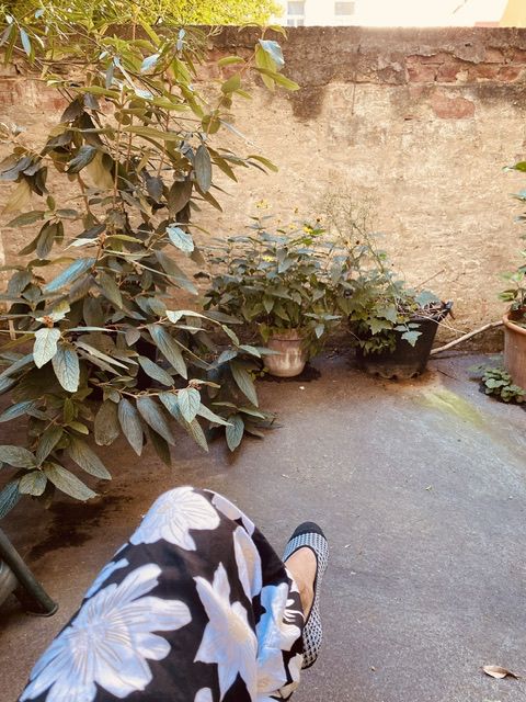 a brickwalled yard accepts my fashion faux pas with gentle passivity. shy flowers grow in a potted solace, surrounded by anonymous pots of random greens. a black abd white ballerina clad foot