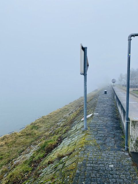 nebeliger donau strom