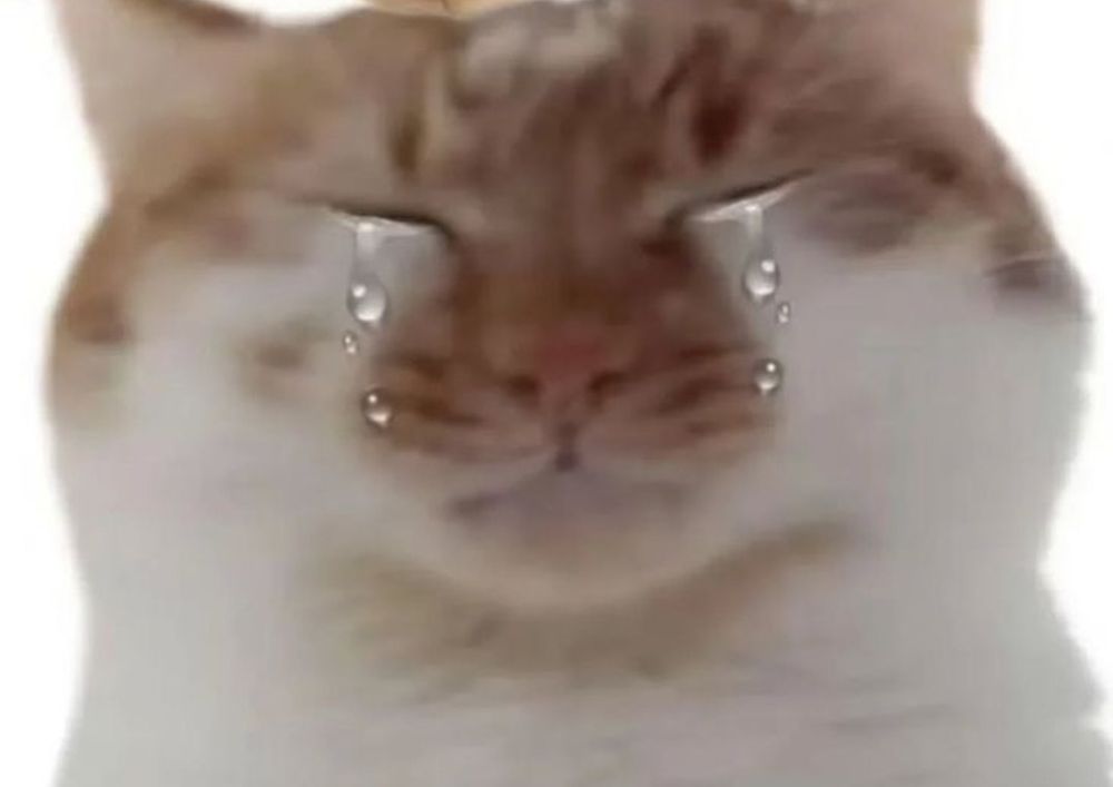 crying kitty (me)