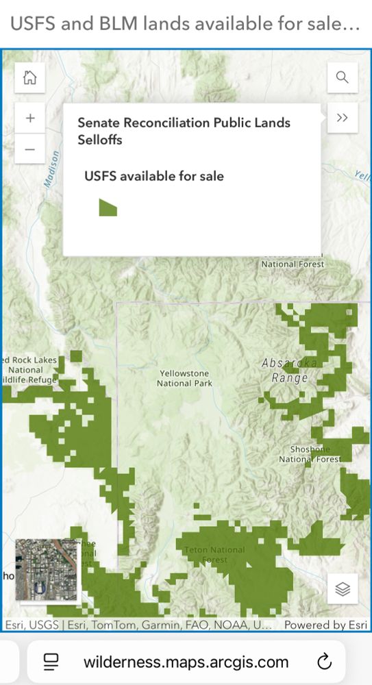 A map showing that Republican senators are proposing to sell national forest land on three sides of Yellowstone national park.