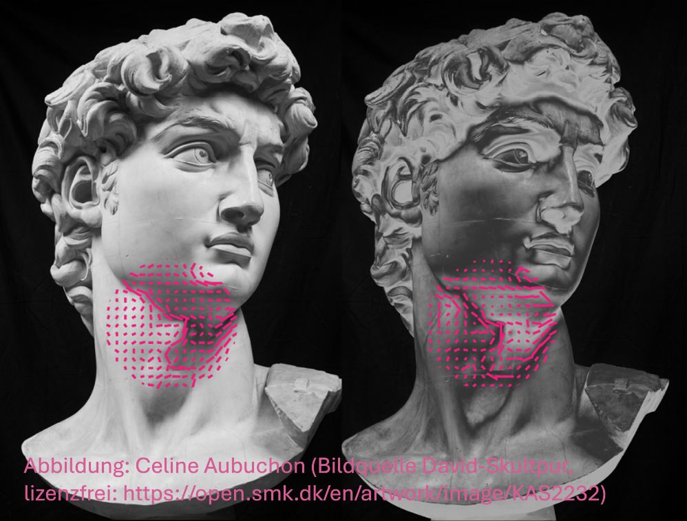 Zwei Bilder des Kopfes der berühmten David-Skulptur von Michelangelo mit natürlicher Schattierung (links) und „seltsamer“ Schattierung (rechts). In beiden Fällen vermitteln subtile Variationen in der Schattierung die 3D-Form, wie die Kurve der Wange. Obwohl die Versionen mit natürlicher Schattierung und „seltsamer“ Schattierung große Unterschiede in der Helligkeit aufweisen, sind sie für das Gehirn in den frühen Stadien der visuellen Verarbeitung fast identisch (veranschaulicht durch rosa Linienfelder).