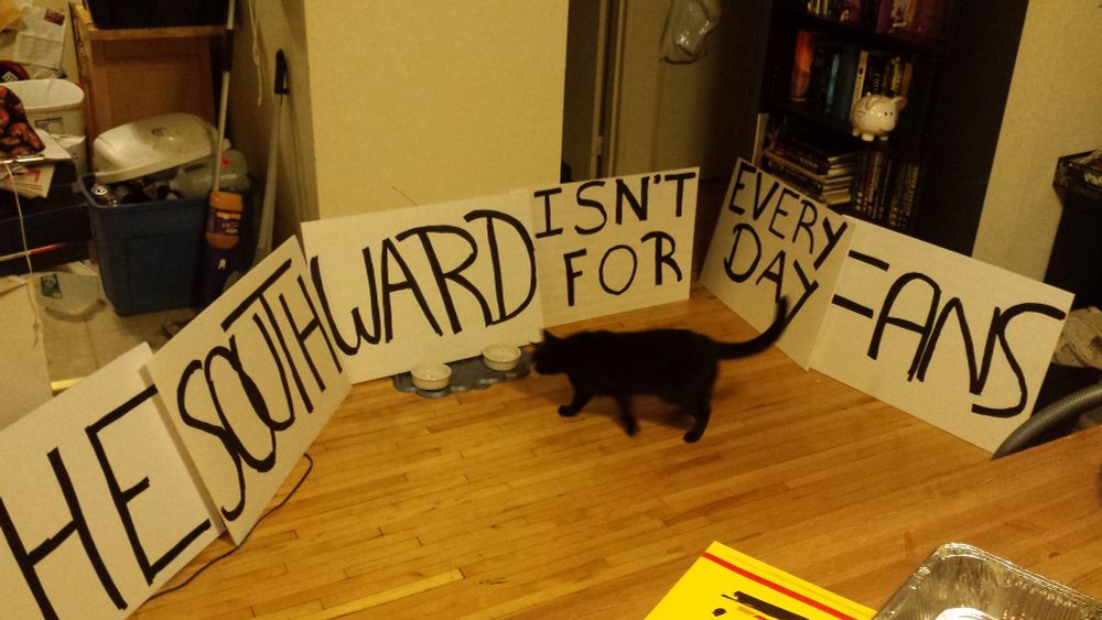Signs which say The South Ward Isn't for Every Day Fans with a cat walking in the middle of the picture.
