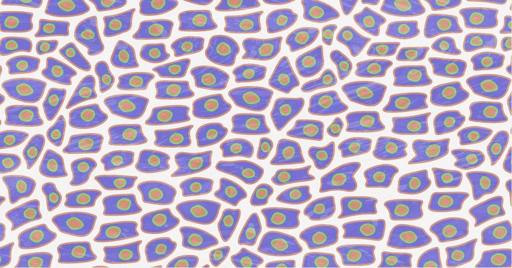 a colorful monolayer of cells