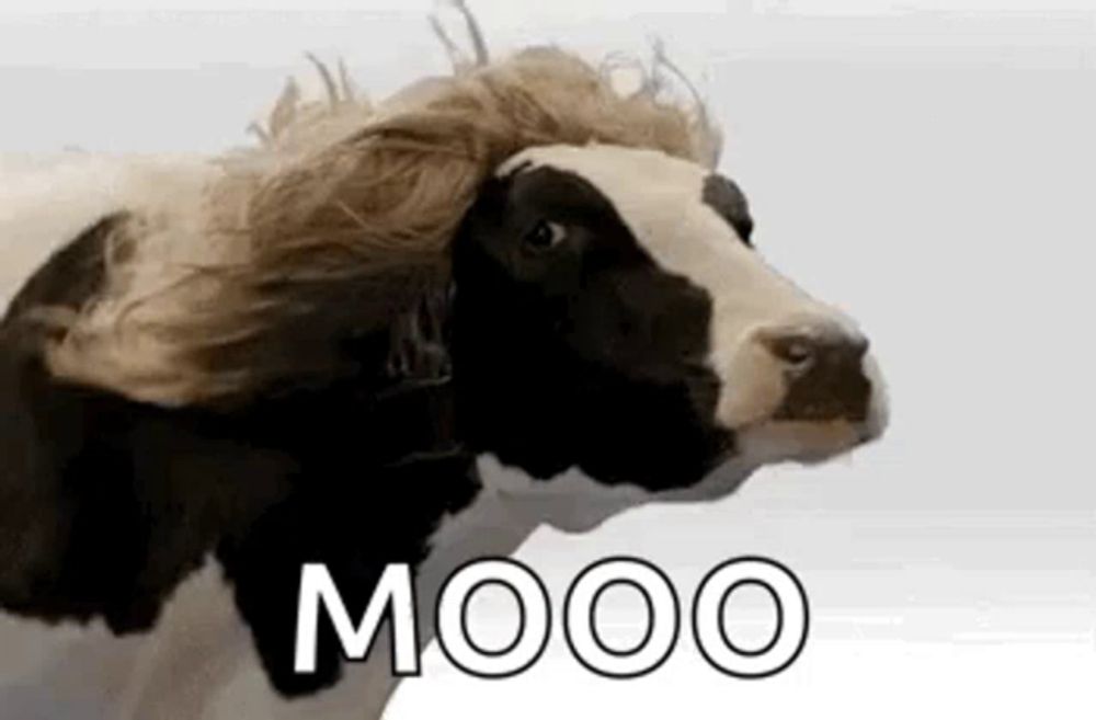 Cow Wig GIF