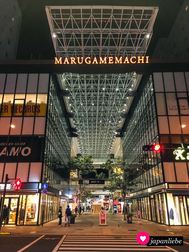 random picture of a shotengai, or covered plaza, in Japan