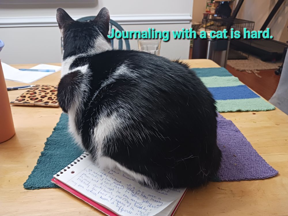 A black and white cat sitting on a notebook ignoring the writer with tue caption,  "Journaling with a cat is hard."