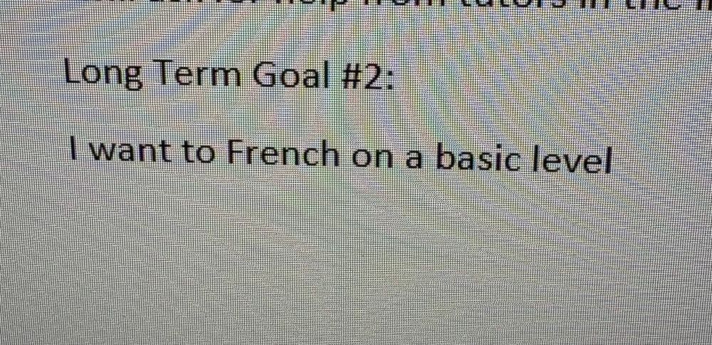 Long term goal #2: I want to French on a basic level