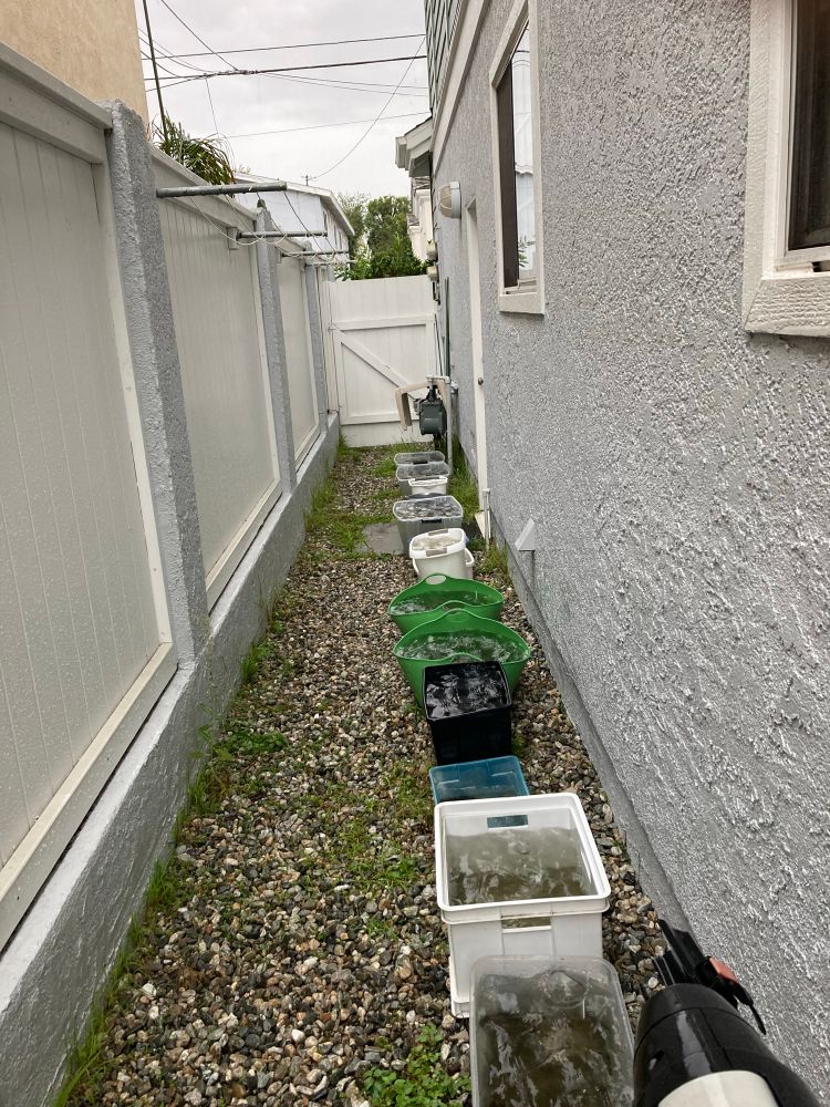 A whole row of hodge bodge water catchers lined up between a gray stucco wall and white wooden fence. The ground is permeable gravel. 