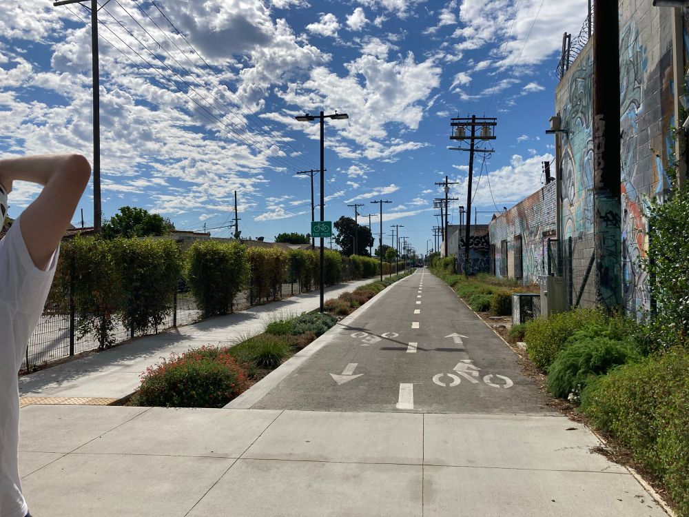 A rail corridor with warehouses on the right and residential area on the left. The railway was replaced with a 2-way bike path, a bioswale of flowering plants, a wide concrete walkway. Shrubs on each edge. Some of the warehouses have graffiti art