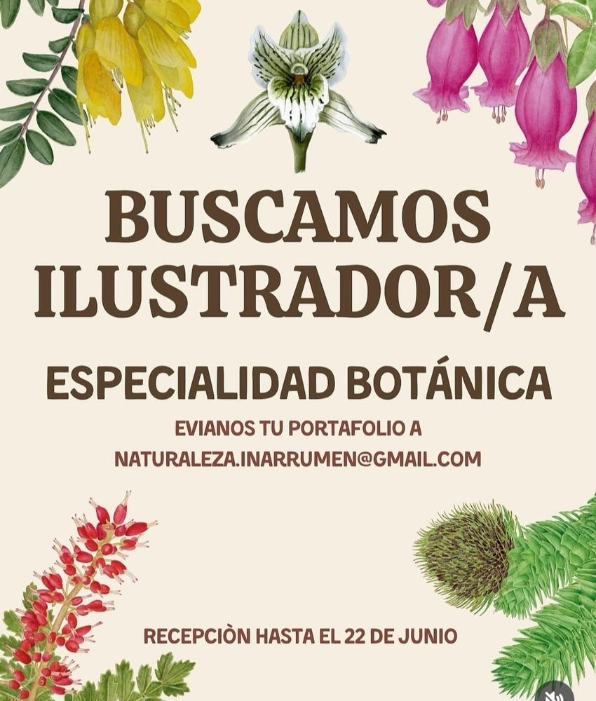 Búsqueda de ilustrador o ilustradora con especialidad en botánica 
