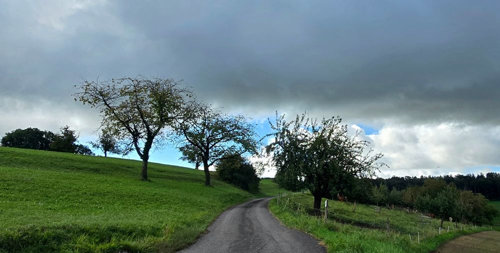 Weg mit Wiese, Bäumen und dramatischen Himmel