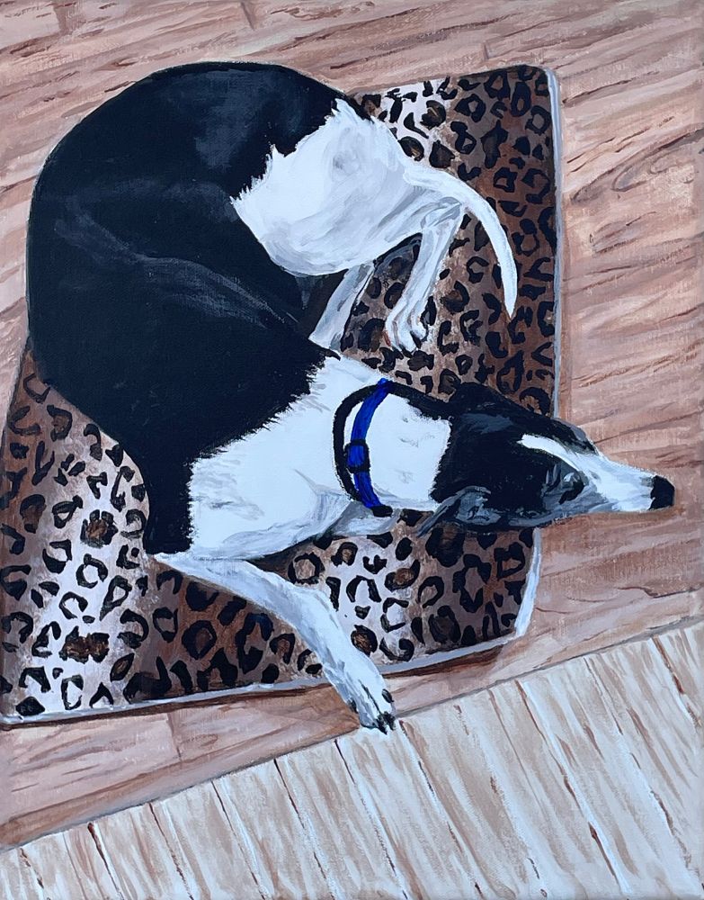 Leap the Magnificent