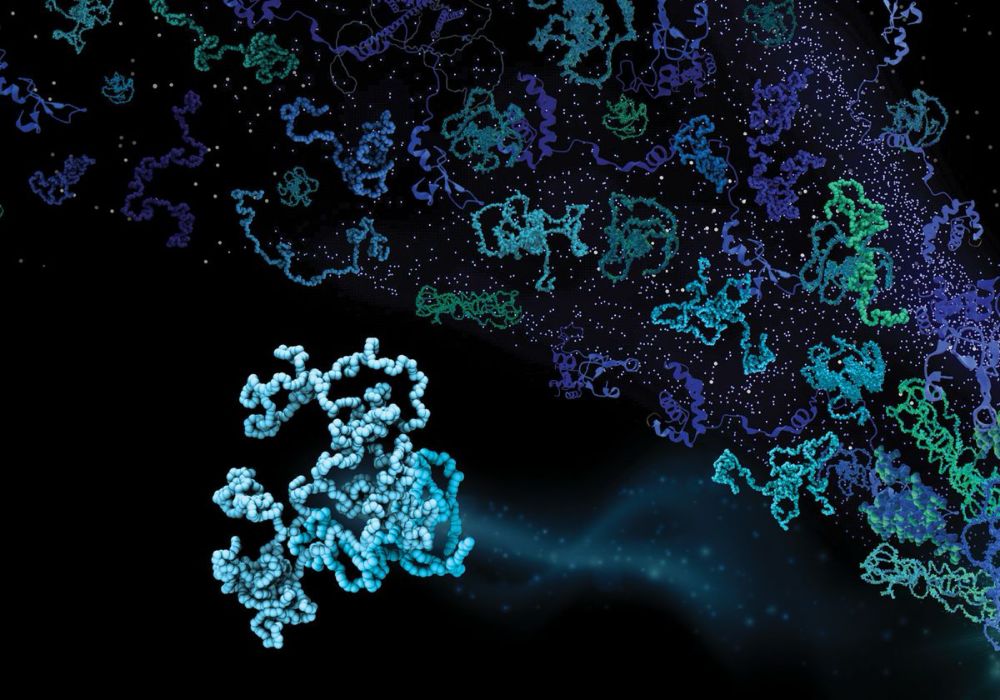 The Dynamic Lives of Intrinsically Disordered Proteins