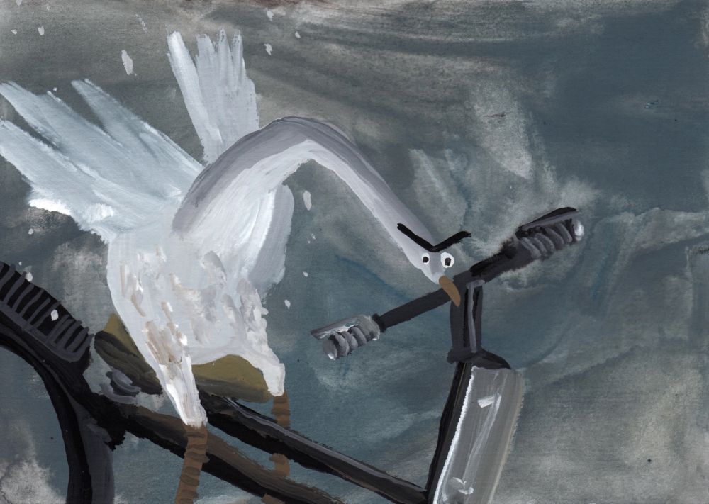 Furious white and grey goose rides grey and black bike. They have a furious monobrow. 