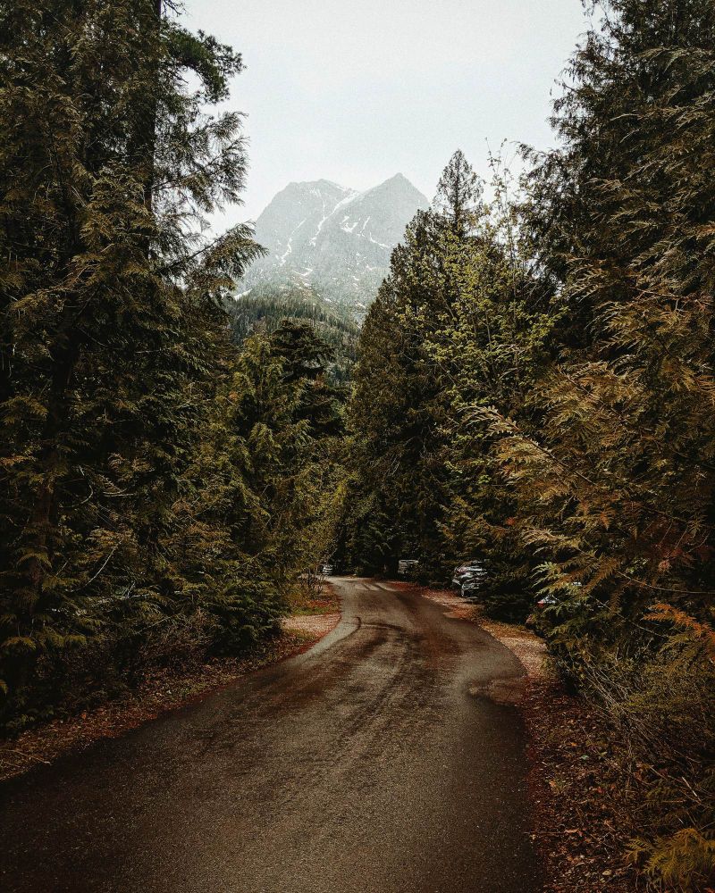 A road with a mountain in the background in Glacier National Park. 