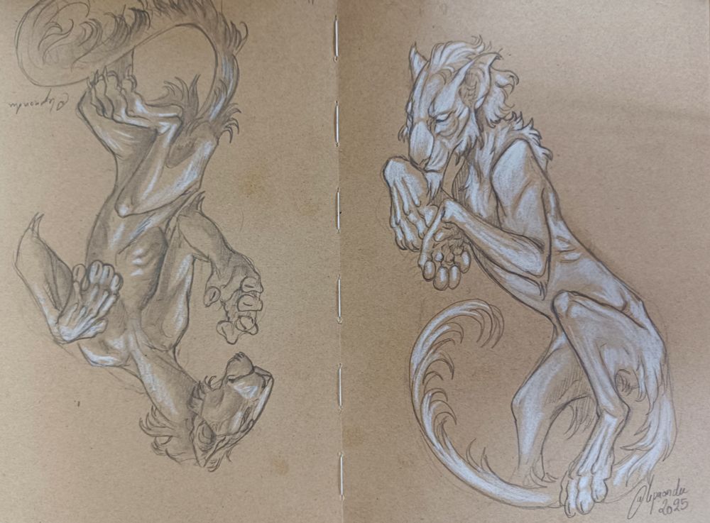 Trafitional illustration of @villiedoom OCs.
On the right is Vewis and on the left is Atram. Both are Koties, fantasy felines with large paws, long and thin body. Their design faintly evocative of Oriental Shorthair cats.