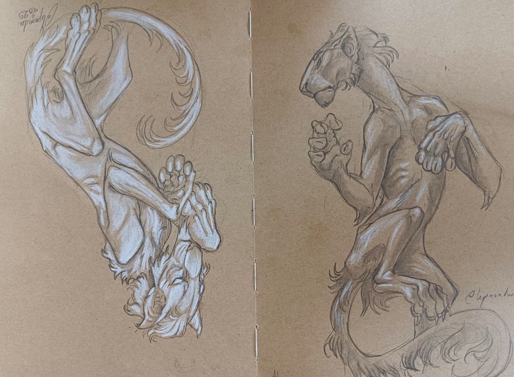 Trafitional illustration of @villiedoom OCs.
On the left is Vewis and on the right is Atram. Both are Koties, fantasy felines with large paws, long and thin body. Their design faintly evocative of Oriental Shorthair cats.