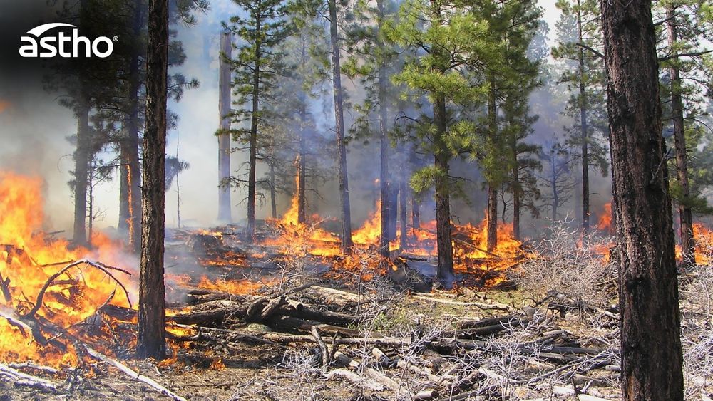Forest fire burning undergrowth and trees, with smoke rising between the trees, with ASTHO logo visible in the corner.