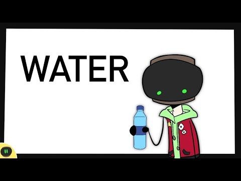 Water.