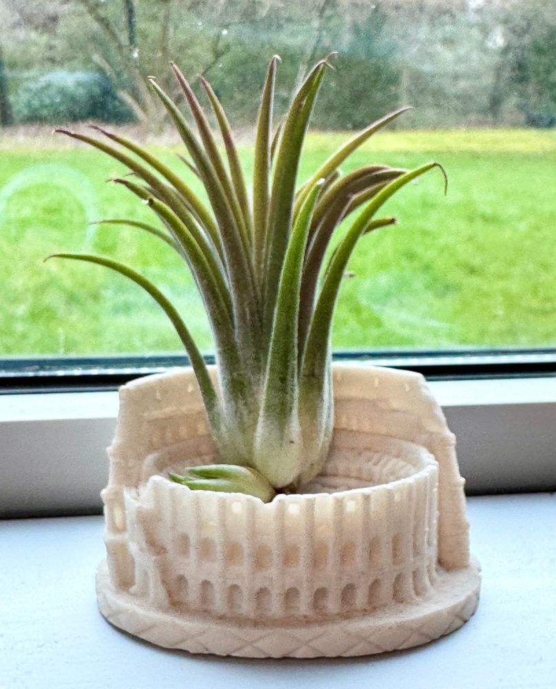 Green leafy small air plant sitting in a white model of the Colosseum. On a window ledge in front of grass and background trees. Grey day. 