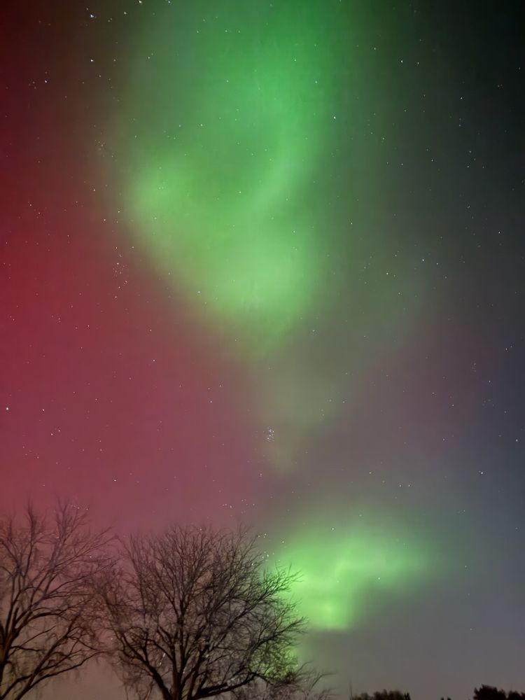Picture of green & red northern lights above backyard trees facing north in rural northwestern IL. Stunning.