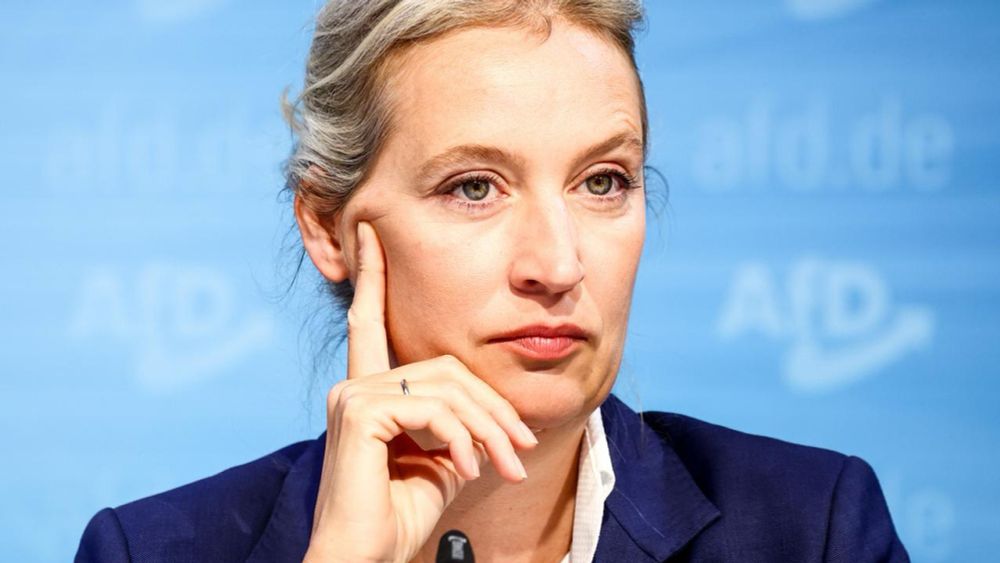 Alice Weidel soll AfD-Kanzlerkandidatin werden