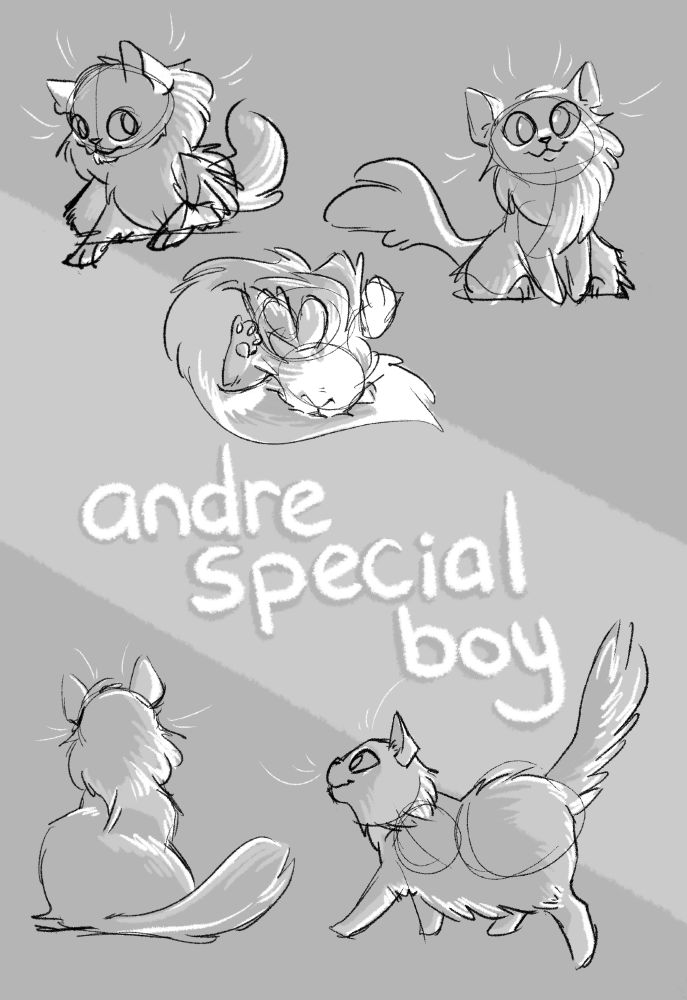 A series of rough digital sketches of a long-haired, fluffy cat with the words "andre special boy" spelled out at the center. 
