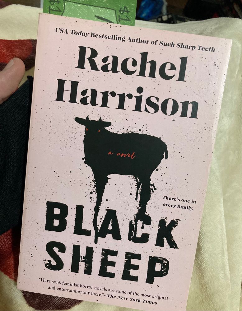 The cover to Rachel Harrison's book Black Black Sheep. The cover is a dull pink with black lettering and the shadowed outline of a sheep with red eyes and tiny devil horns