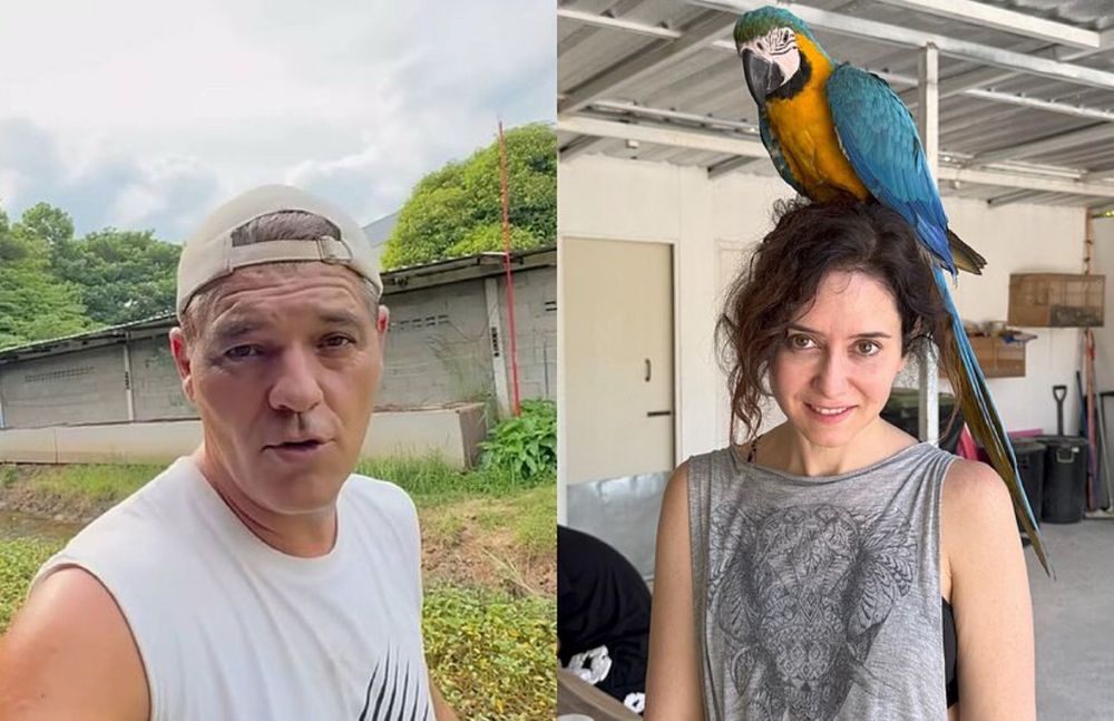 Frank Cuesta, detenido, Ayuso, 7291, Alberto Quirón, testaferro Ayuso, Gestión Criminal